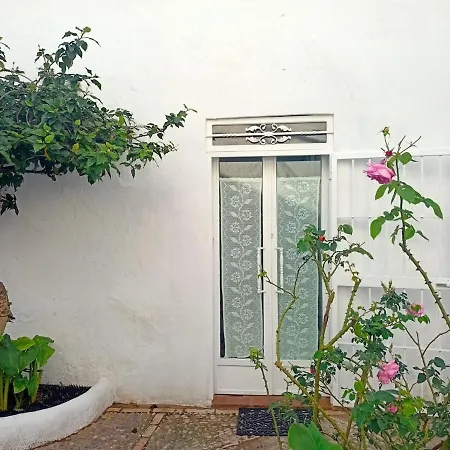Mini Hibiscus Apartment *